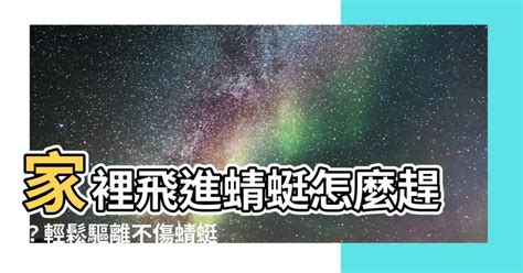 蜻蜓入 屋 風水|【家裡飛進蜻蜓】家裡飛進蜻蜓，代表好運還是厄運？揭密蜻蜓飛。